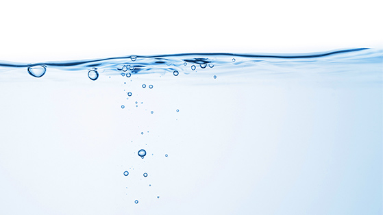 aquatic ecosystems